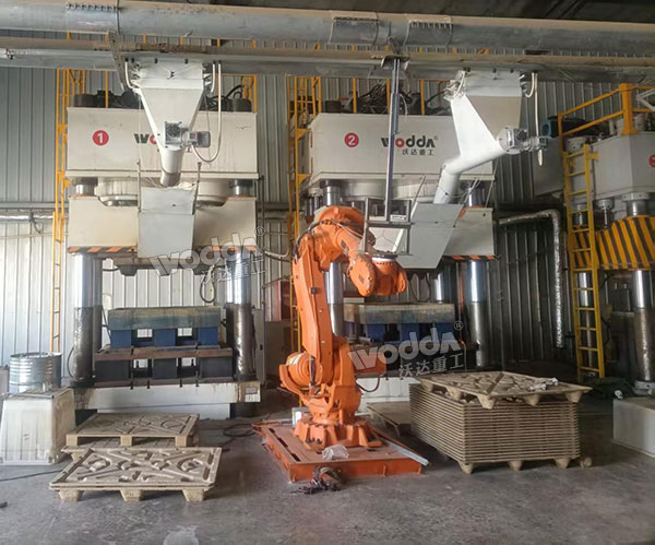 木屑托盤生產線現(xiàn)場 木屑托盤生產線現(xiàn)場