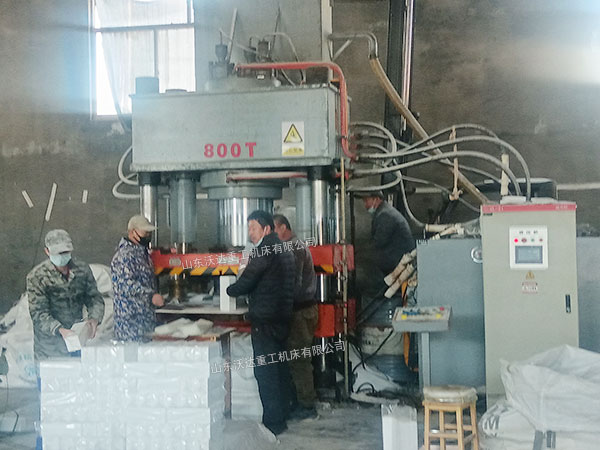 800噸牛羊舔磚液壓機(jī)現(xiàn)場(chǎng)